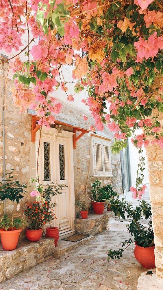 Harmony in Hues: An Ode to Colorful Blossoms